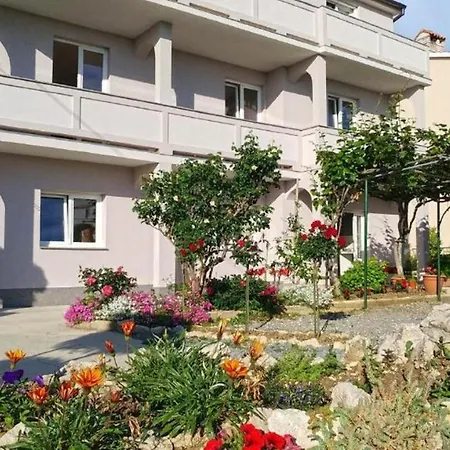 Hortenzija, Rab