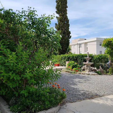 Hortenzija, Rab Barbat na Rabu